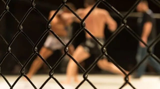UFC Fight Night