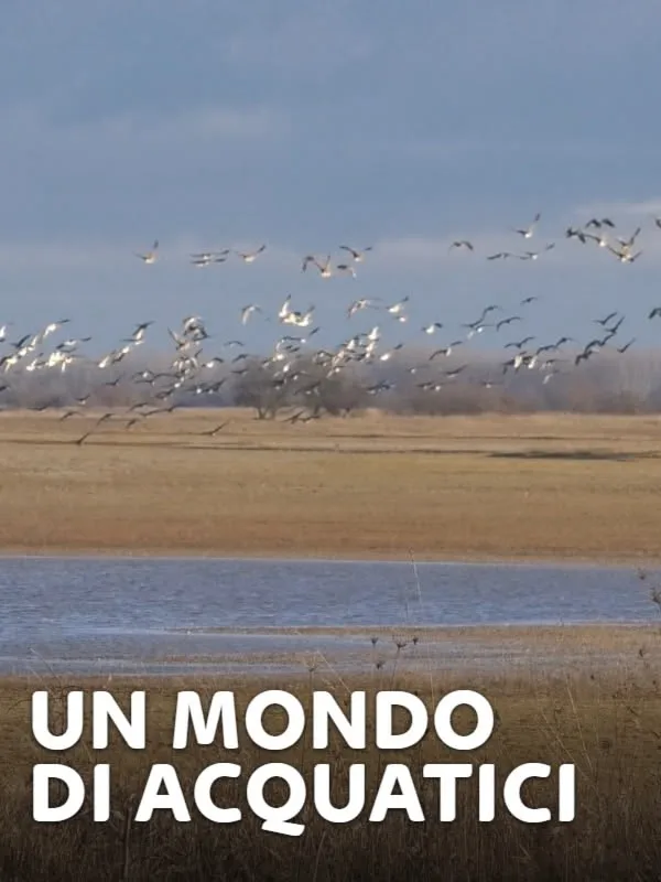 Un mondo di acquatici 2