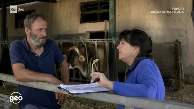 Una famiglia resistente - Geo