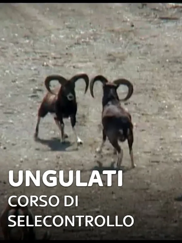 Ungulati: corso di selecontrollo 1