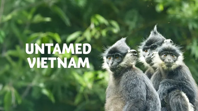 Untamed Vietnam