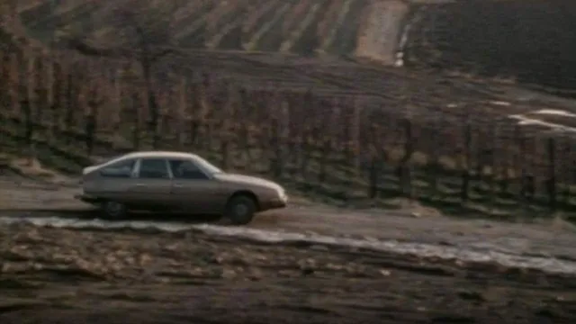 Viaggio sentimentale nell'Italia dei vini