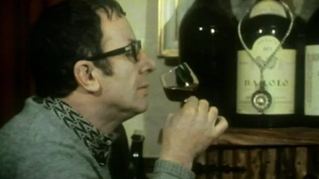 Viaggio sentimentale nell'Italia dei vini
