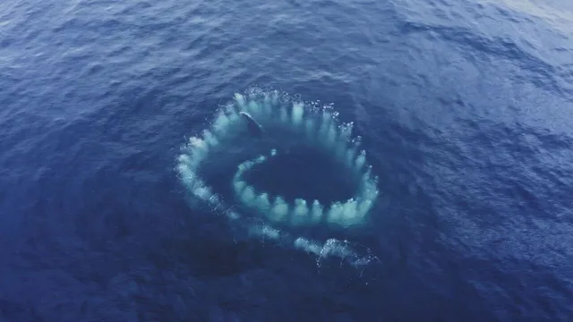 Visti dal cielo - Misteri di questo mondo