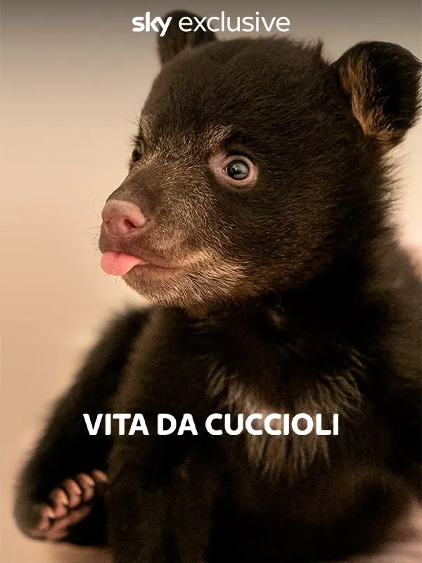 Vita da cuccioli