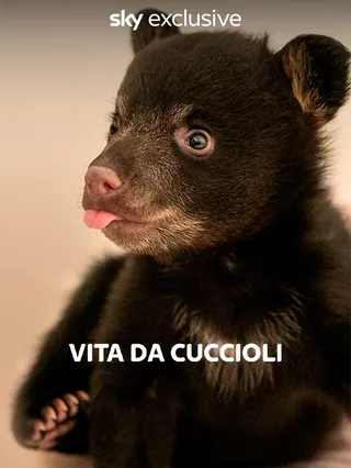 Vita da cuccioli