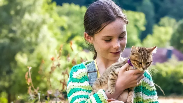 Vita da gatto