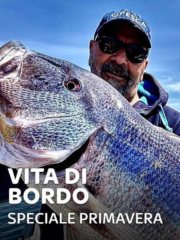 Vita di bordo - Speciale primavera 4