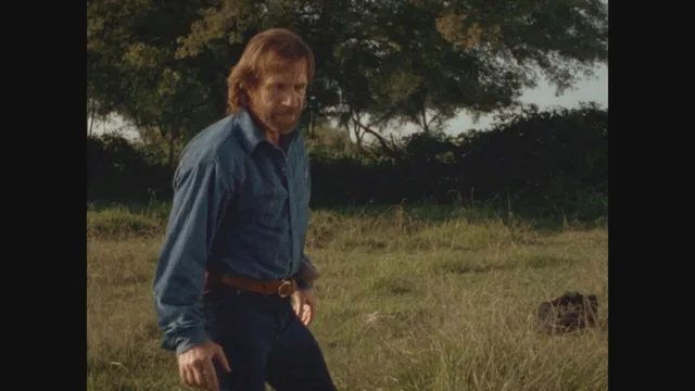 Walker Texas Ranger