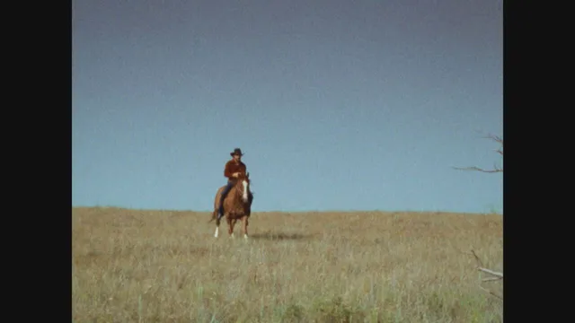 Walker Texas Ranger