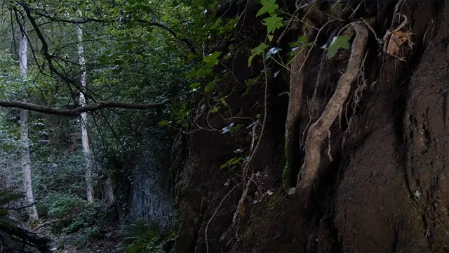 Wild Italy