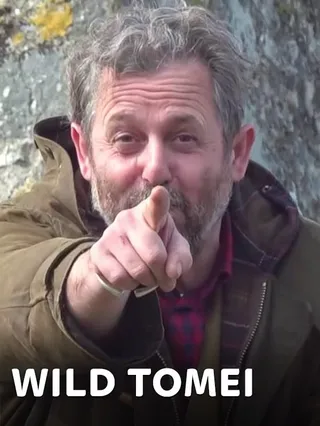 Wild Tomei
