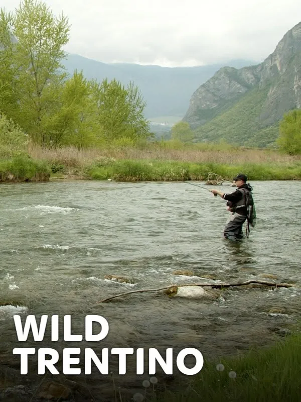 Wild Trentino 1