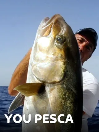 You pesca 2