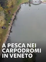 A pesca nei carpodromi in Veneto 1