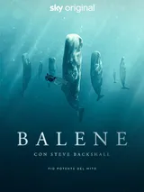Balene con Steve Backshall