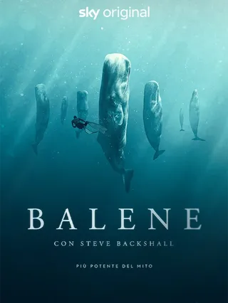 Balene con Steve Backshall