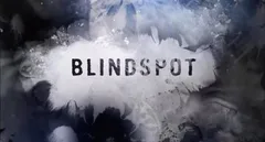 Blindspot