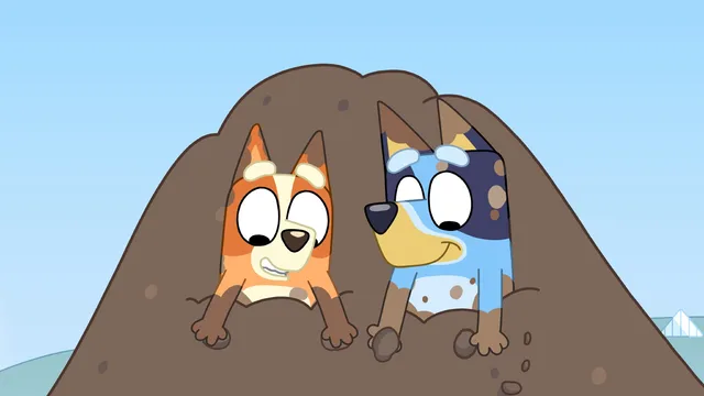 Bluey - Terra