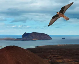Chinijo Le Isole Degli Uccelli