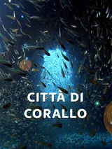 Citta' di corallo 1^TV