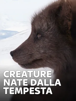 Creature nate dalla tempesta