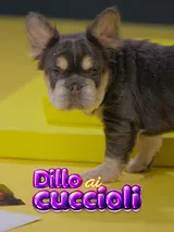 Dillo ai cuccioli
