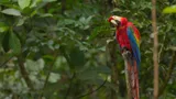 Ecuador, paradiso di biodiversita'