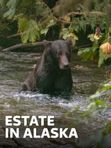 Estate in Alaska