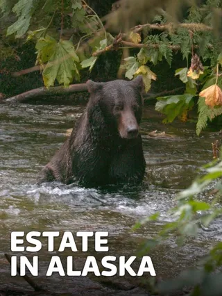 Estate in Alaska