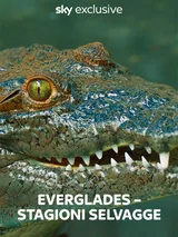 Everglades - Stagioni Selvagge