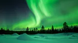 Evolution - Viaggi nelle Terre del Nord