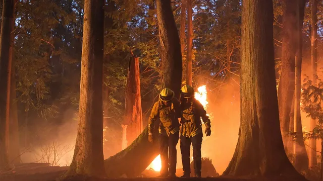 Fire Country - Redenzione