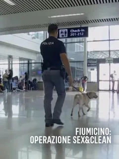 Fiumicino: Operazione Sex & Clean