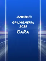 GP Ungheria: Gara