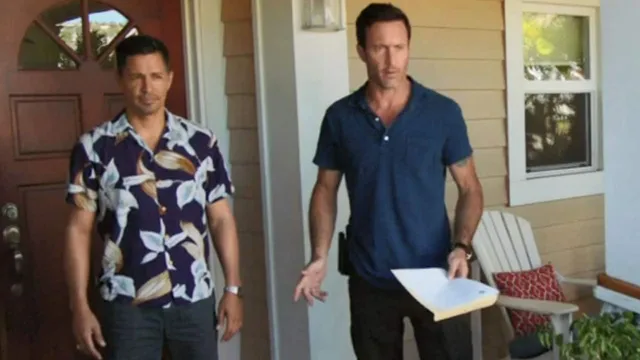 Hawaii Five-0 - Lavoro da spie