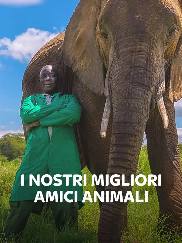 I nostri migliori amici animali