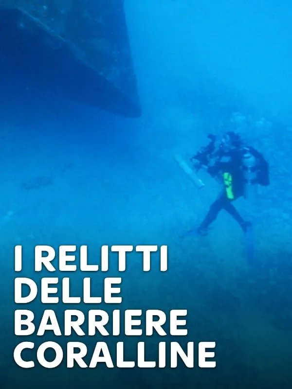 I relitti delle barriere coralline