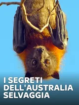 I segreti dell'Australia selvaggia
