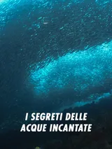 I segreti delle acque incantate