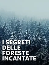 I segreti delle foreste incantate