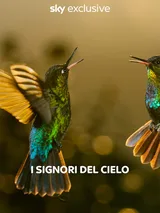 I signori del cielo