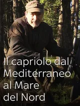 Il capriolo dal Mediterraneo al Mare...