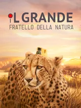 Il grande fratello della natura
