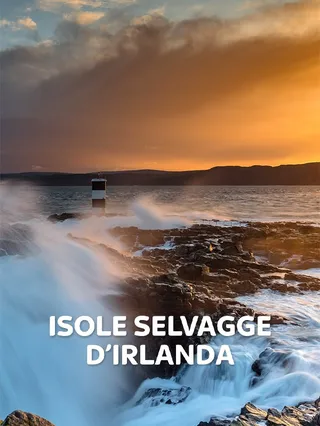Il mare dei serpenti