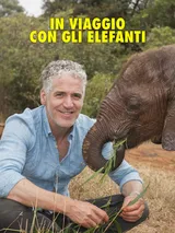 In viaggio con gli elefanti
