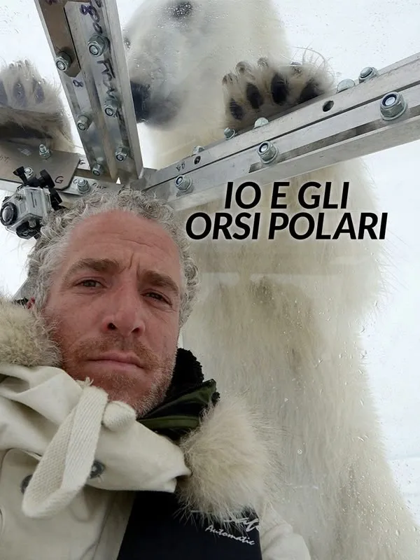 Io e gli orsi polari