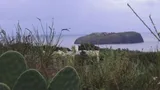Isole