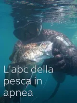 L'abc della pesca in apnea
