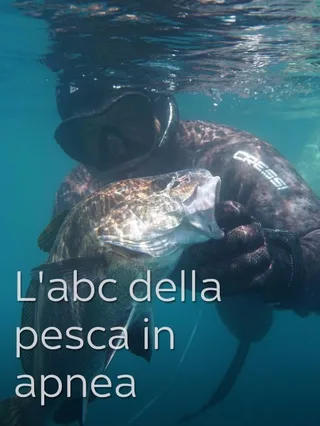 L'abc della pesca in apnea